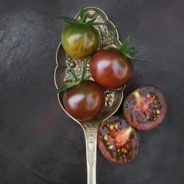 Tomatensamen alte Sorten