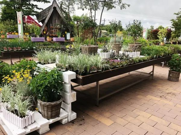 Überblick über das Sortiment im Gartencenter